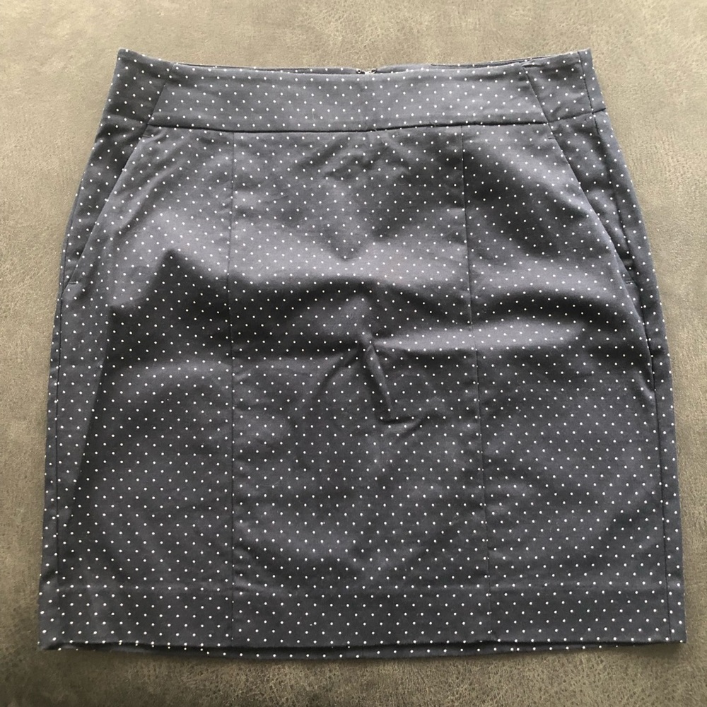 Ann Taylor Polka Dot Skirt